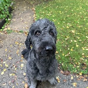 Meet your Posher, Chanesty